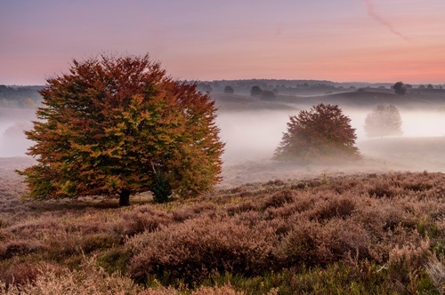 Herfstfoto Veluwzoom, fotograaf S. Grefte