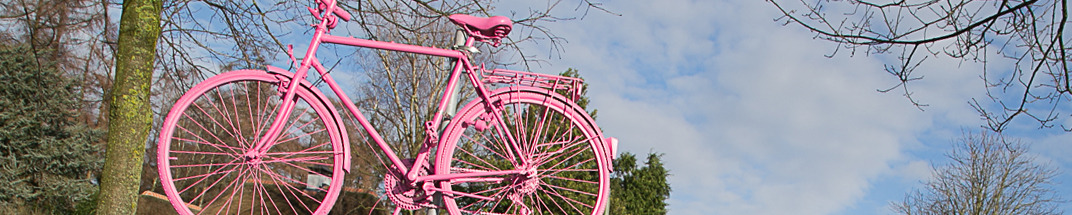 Roze fiets