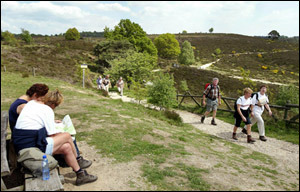 Wandelen op de Posbank